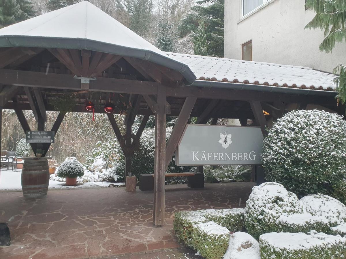 Kaefernberg - Weinhotel Alzenau in Unterfranken