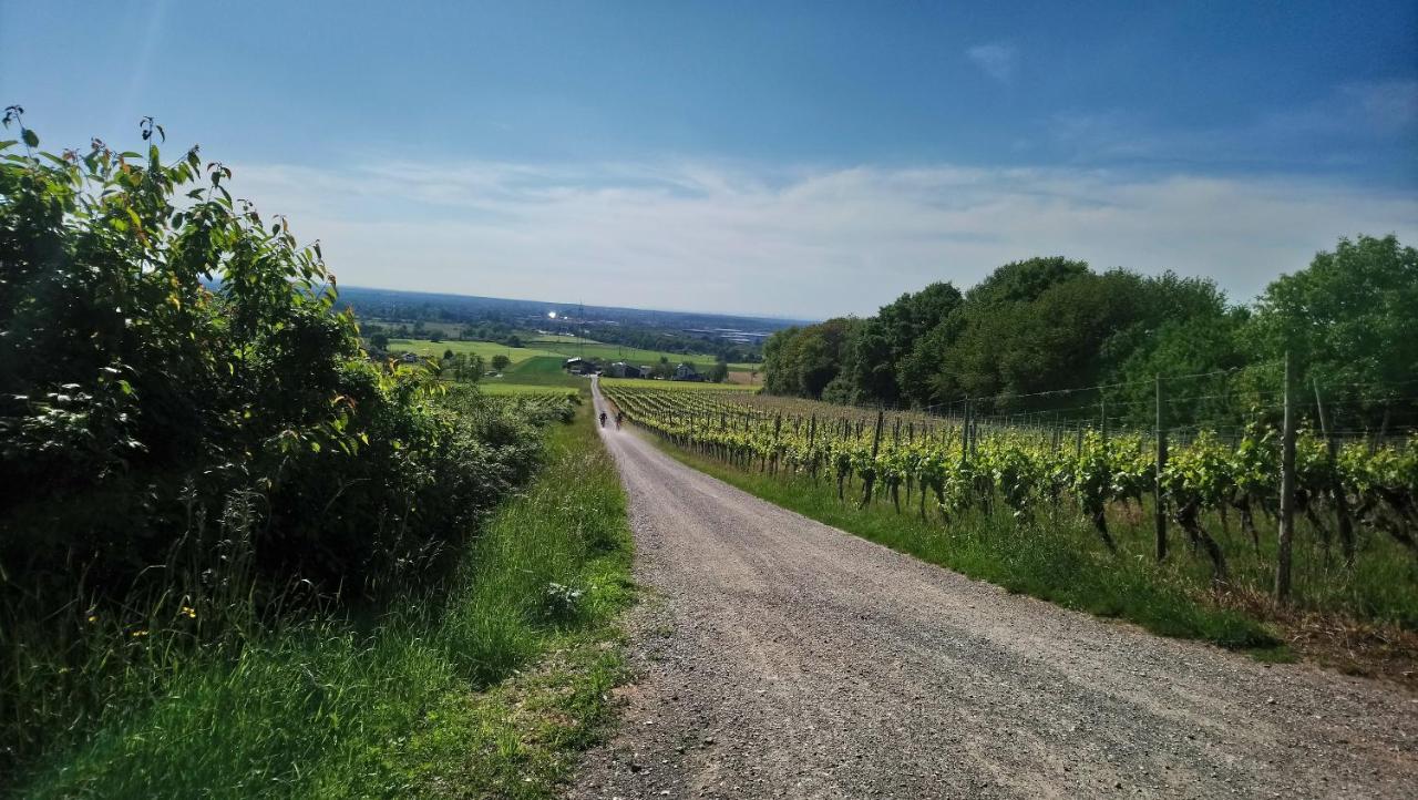 Hotel Kaefernberg - Weinhotel 3*
