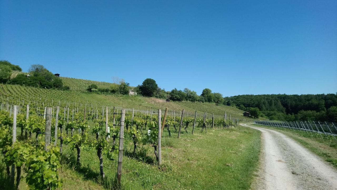 Hotel Kaefernberg - Weinhotel 3*